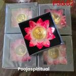Brass Lotus Lamp Set(Pink color)
